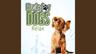 Minuet Quintet In E Major For 2 Violins, Viola And 2 Celli Op 13/5