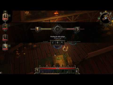 Let’s Play Divinity: Original Sin Co-op part 29 - To be Immaculate