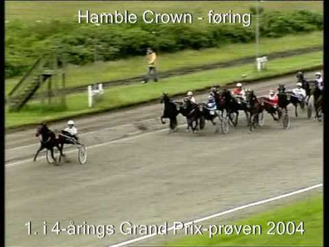 Hyldest til Hamble Crown - danske løb