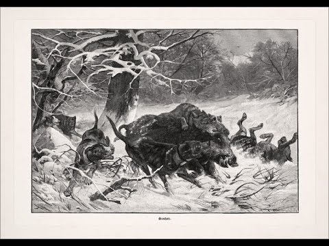 DRÜCKJAGD PERFEKT ORGANISIERT