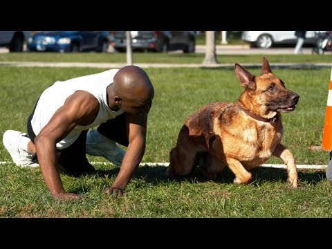 Dog vs Human Sprinting - Who's Faster?