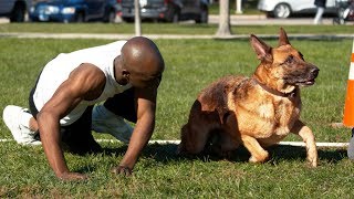 Dog vs Human Sprinting - Who&#39;s Faster?