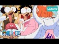 Moría Por Ver Esta Escena En Español One Piece Doblaje Latino