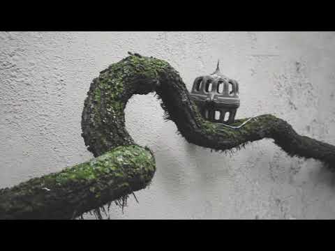 Stone - Escher (Scratch by Wonder Kid)  (Official Video)