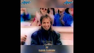 DAVID CASSIDY TRIBUTE-IT’S A LONG WAY TO HEAVEN 39 MONTHS AND THE PAIN OF MISSING YOU STILL LINGERS