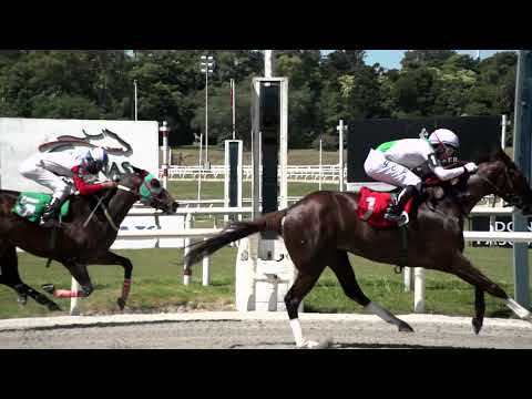 211218 c01 PUNCH OF WARM