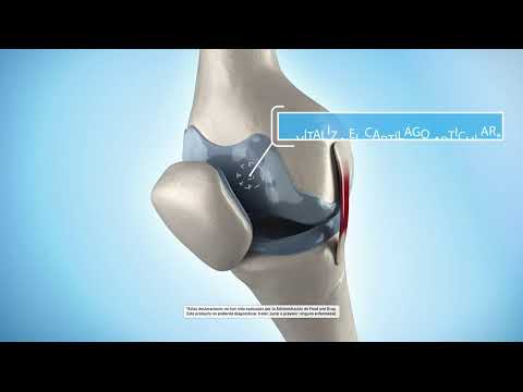 SEÑAL EN VIVO DE NTN24, el Canal de las Américas