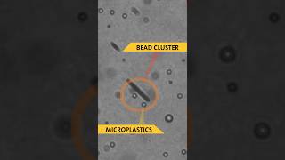 Newswise:Video Embedded swarms-of-miniature-robots-clean-up-microplastics-and-microbes-simultaneously-video