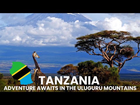 Top Attractions in Tanzania  A Journey Through Natural Wonders & Cultural Gems