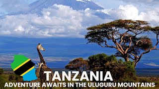 Top Attractions in Tanzania  A Journey Through Natural Wonders & Cultural Gems