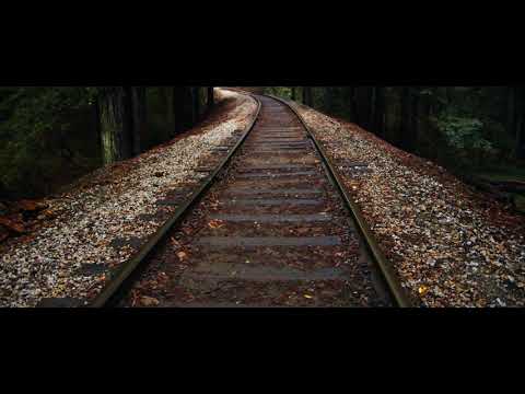 Black Magic Pocket Cinema Camera 6k Camera Test