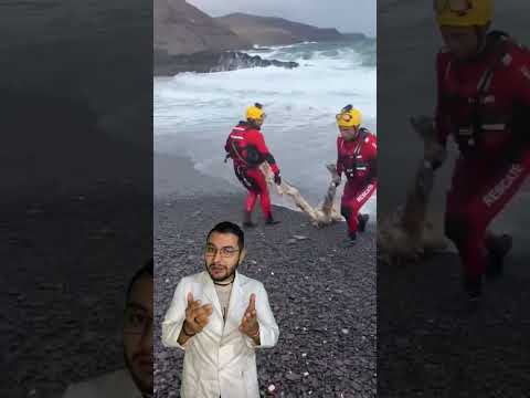 Rescatan CADÁVER💀 del MAR 🌊  #Shorts