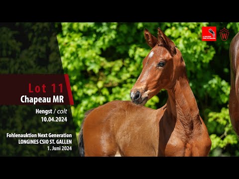 Fohlenauktion Next Generation Lot 11 Chapeau MR Hengst v. Chopin - Emerald van het Ruytershof