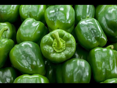 POIVRON ZIBAMO IKI?KUKI TUZIRYA?DORE IMPAMVU ZITUMA PUWAVURO ITAGOMBA KUBURA MU MAFUNGURO YAWE