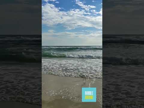 Pretty Beaches | #shorts #beach