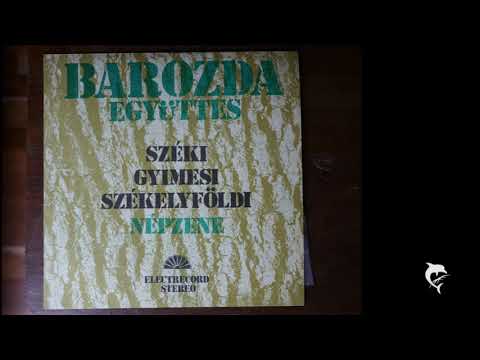THE ENSEMBLE BAROZDA-EGYÜTTES