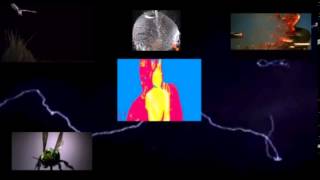 IF WISHES WERE FISHES by UNKNOWN ARTIST