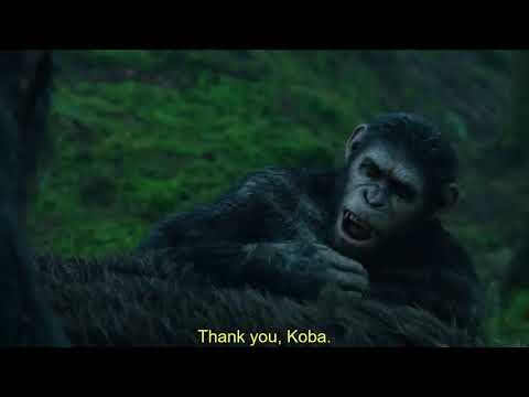 Bear Attack Scene | Dawn of the Planet of the Apes (2014)