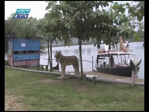 রংপুর সিটির চিকলী বিল ও বিনোদন পার্ক