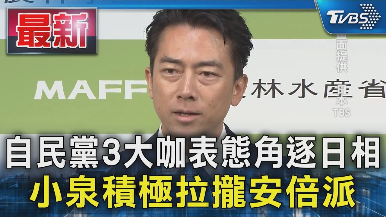 自民黨3大咖表態角逐日相 小泉進次郎積極拉攏安倍派