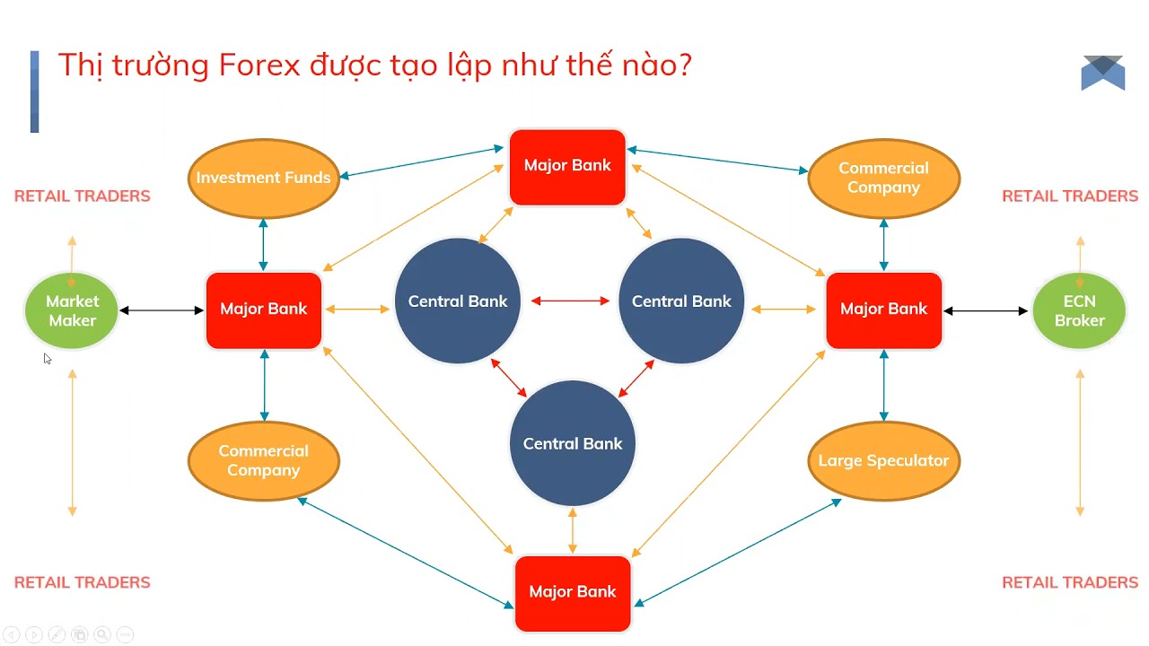 Khóa học quản trị vốn trong đầu tư forex