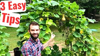 Growing Lots of Food on an Arched Trellis - Complete Guide