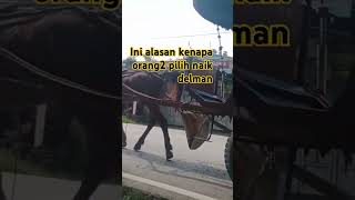 Download lagu Ini alasan orang2 naik delman #shorts #lucu #storywa mp3