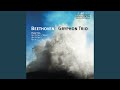 Piano Trio in D major "Ghost", Op. 70, No. 1 / III. Presto