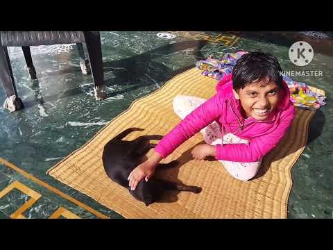 cute cat 😺# kritika is playing with cat # fun 😊 time # subscribe my channel please #