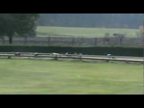 European Derby Plate Final 2012 - Primo Moonlight