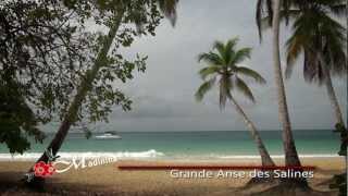 preview picture of video 'Martinique : Sainte Anne, la plage des Salines'