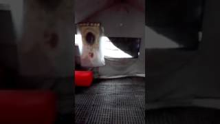 la-misericordia-finisce-in-tenda-dopo-lo-sfratto-del-comune