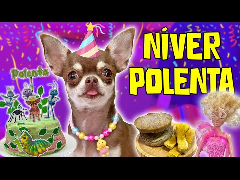 O ANIVERSÁRIO DE 1 ANO DA POLENTA 🎉