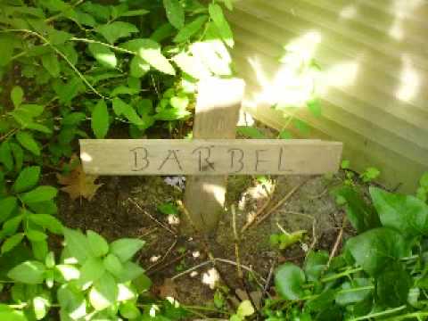 No-Bell-Preis : Dein Körbchen ist leer!