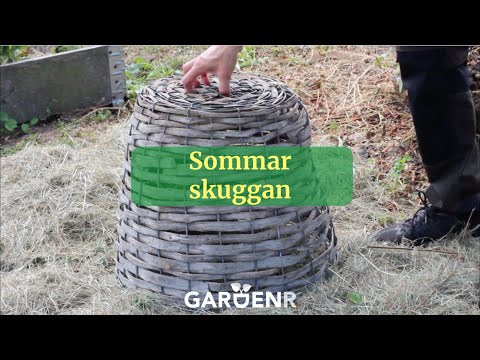 Sommarskuggan - Trädgårdshacks med GardenR
