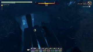 エンシュラウドをやる