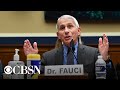 Watch live: Fauci and health officials update Senate on returning to work and school amid COVID
