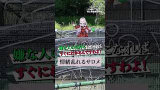 情緒乱れるサロメ嬢 #壱百満天原サロメ #加賀美ハヤト 「にじさんじ人気VTuber大集結！ THE遊び王決定戦 Season2」はDMM TV にて独占配信中🌈