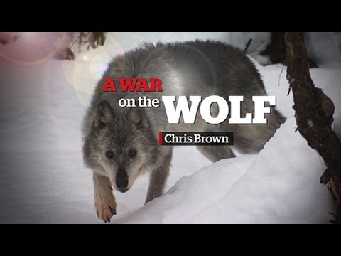 download lagu mp3 mp4 Download Bison BC Mp3, download lagu Download Bison BC Mp3 gratis, unduh video klip Download Bison BC Mp3