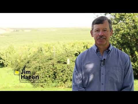 Opal - Behind the Grower