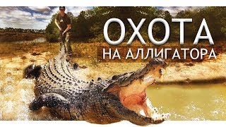 Это он крокодила на живца ловить