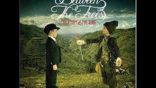 the way she feels by between the trees