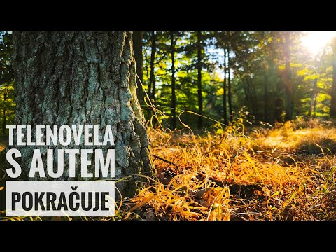 Vlog 51 • Sto eur, které si nenechám