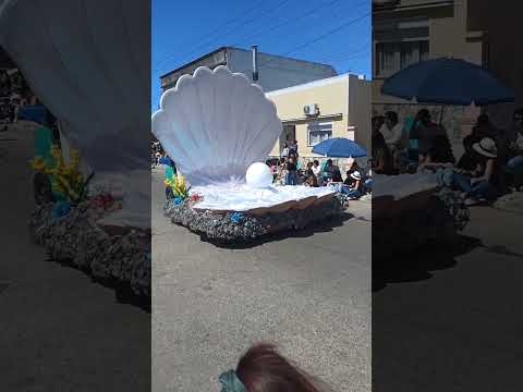 AVENTURA SUBMARINA | Pancarta | FIESTA DE LA PRIMAVERA NUEVA PALMIRA 2025