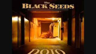 The Black Seeds - The Prince