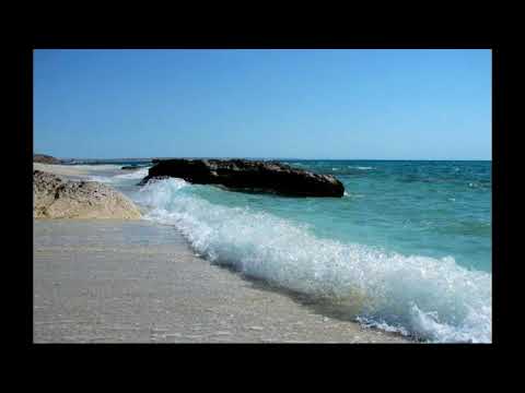 Sensorica -  L'unica Realta Original mix