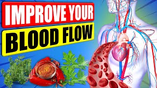 12 Best Herbs To Improve Your Blood Circulation Naturally