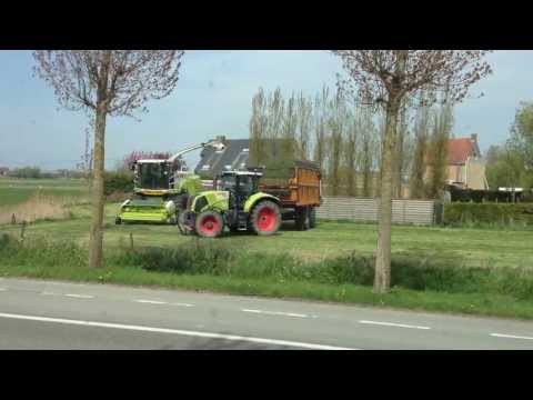 Vergauwe K&P: Eerste gras hakselen 2013 met nieuwe Claas Jaguar 960 (2013) Ensilage d'herbe forage