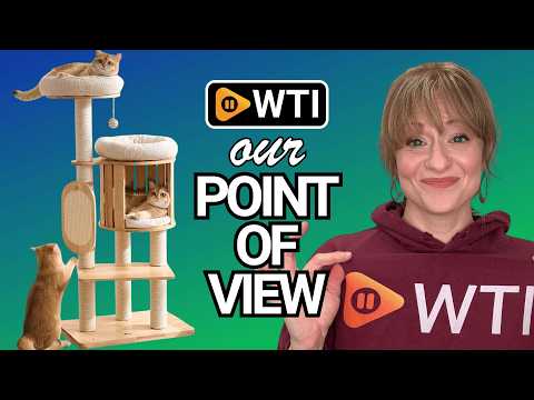 50" Modern Cat Tree for Indoor Cats Small to Medium - WTI product video review