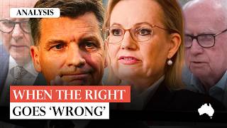 ‘There’s no magic wand for the Liberal Party’: Paul Kelly
